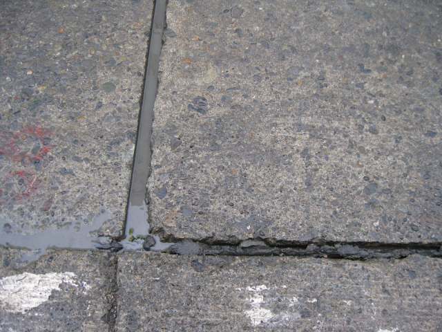 e0062635_19422055.jpg