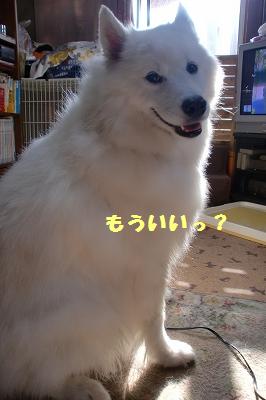 e0196135_1841110.jpg