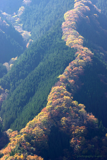 e0083238_2224099.jpg
