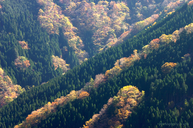 e0083238_2225715.jpg