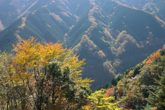 e0083238_2231130.jpg