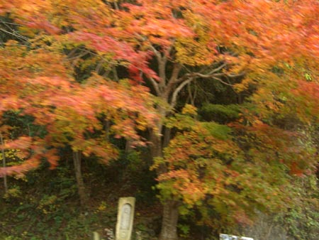 e0110940_18443941.jpg