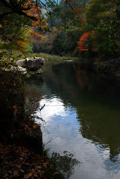 b0075541_335294.jpg