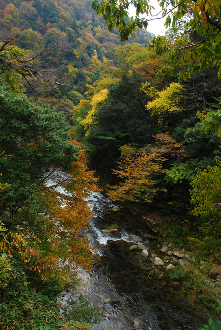 b0075541_3434437.jpg