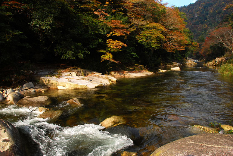 b0075541_4315665.jpg