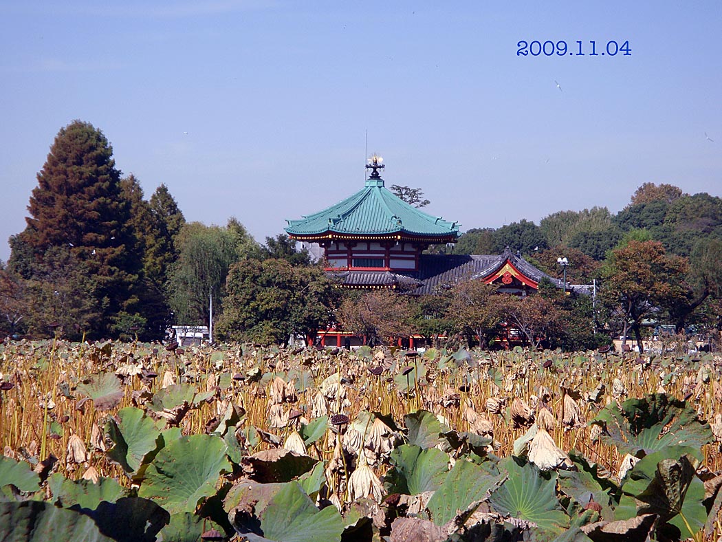 e0185645_8351857.jpg