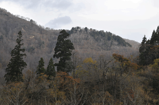 c0093046_7345644.gif