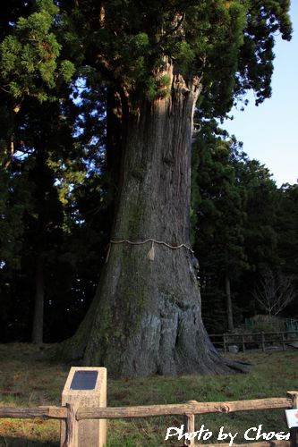 c0004750_8373518.jpg
