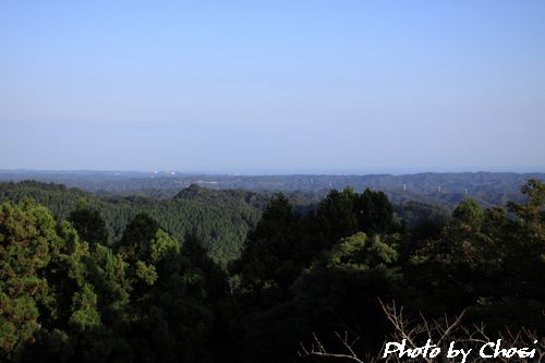 c0004750_8382342.jpg