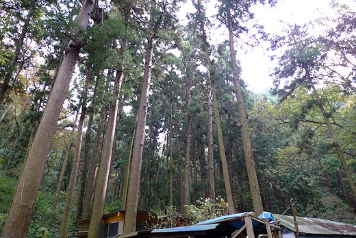 e0050753_18212216.jpg