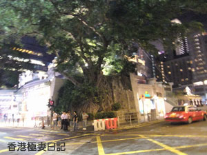 f0190653_96320.jpg