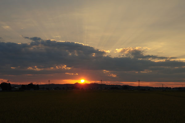 e0122855_21214851.jpg