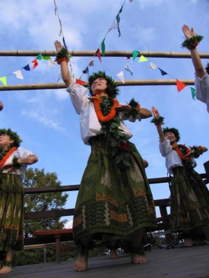 f0201157_225568.jpg