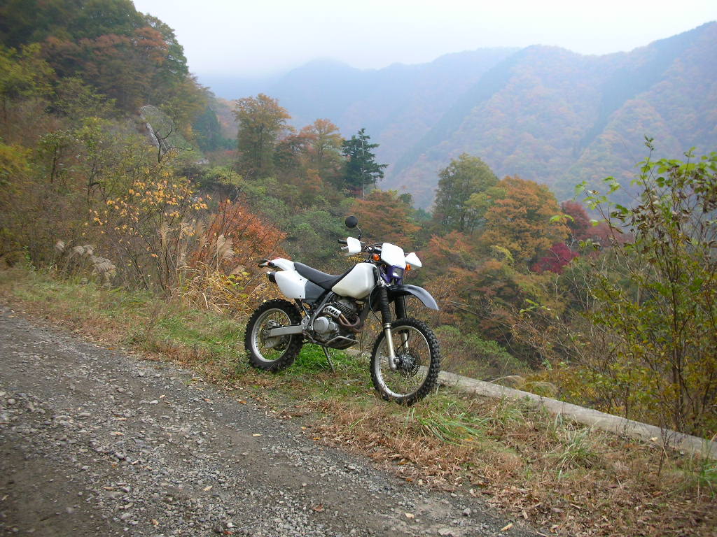 f0186368_2010569.jpg