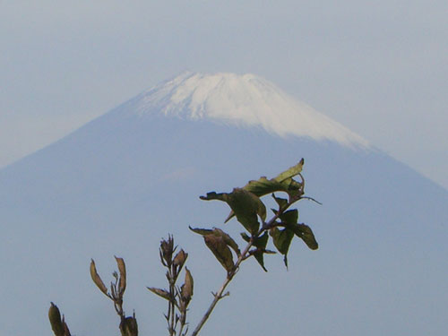 f0025769_1835273.jpg
