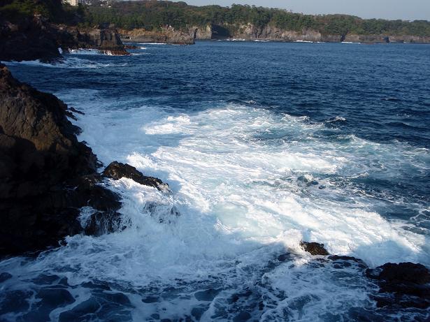 c0025471_2105371.jpg