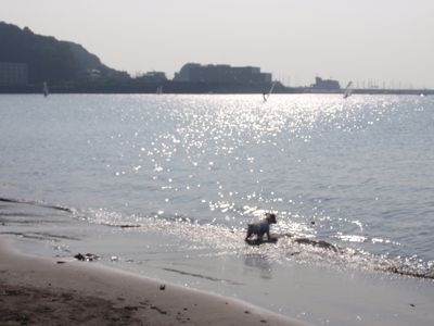 f0045872_1652398.jpg