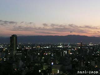c0221784_1838392.jpg
