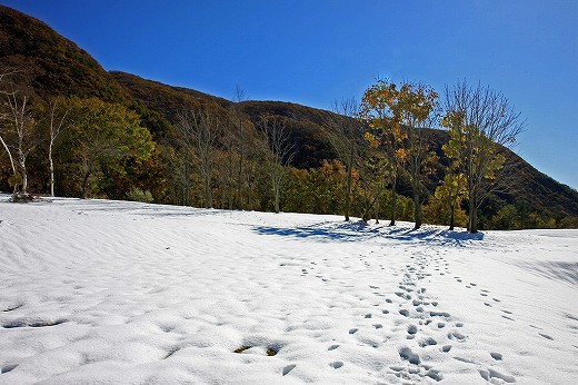 e0190885_16315593.jpg