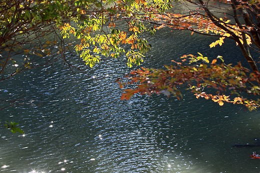 e0190885_16322690.jpg