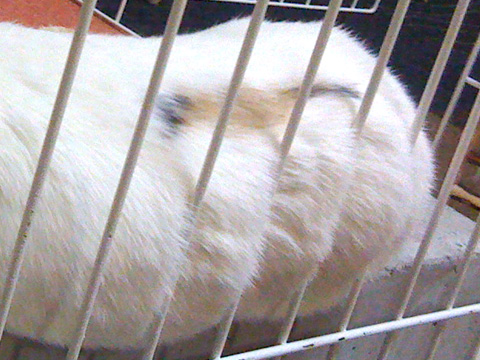 f0201191_18372097.jpg