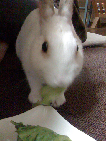 f0201191_18451914.jpg