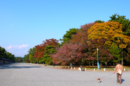 a0079292_115515.jpg