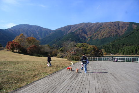 b0104592_1143281.jpg
