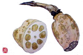 f0008597_20505412.jpg