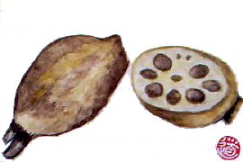 f0008597_2051540.jpg