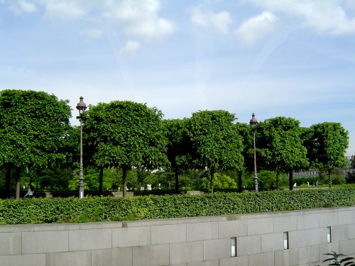 f0139397_11522530.jpg