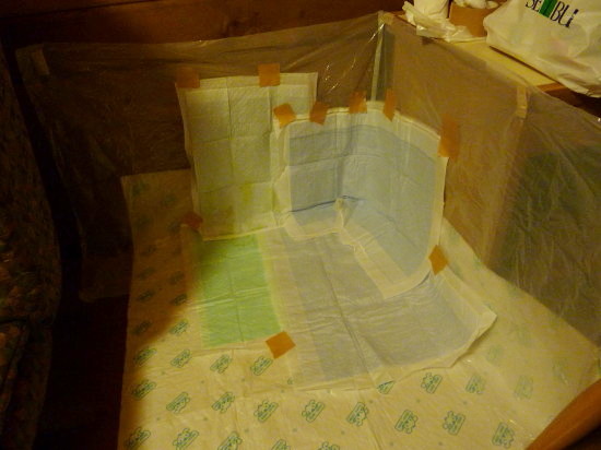 c0044199_23144911.jpg