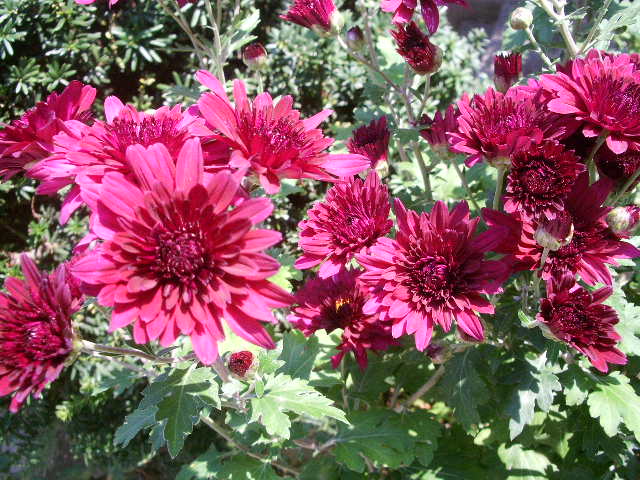 e0025300_1048221.jpg