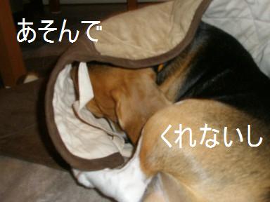 c0205806_17225560.jpg