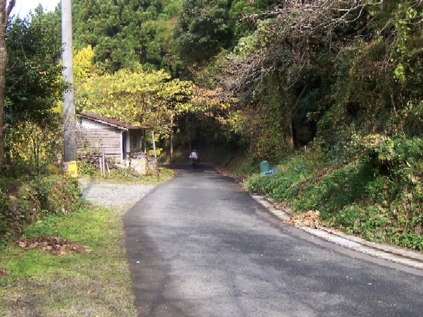 b0126408_2013895.jpg