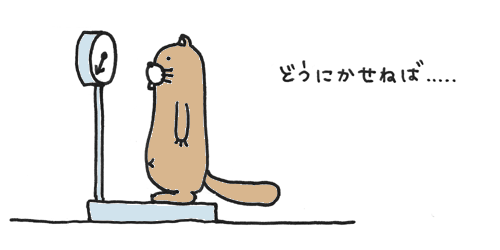 20091111.gif