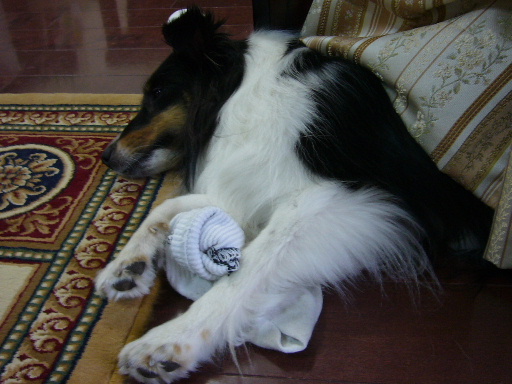 e0130008_19503837.jpg