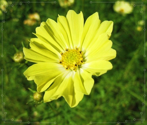 d0089418_1243467.jpg