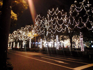 c0087320_9181562.jpg
