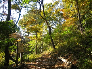 e0002820_9514960.jpg