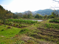 e0002820_9553849.jpg