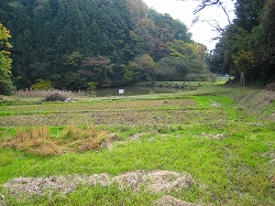 e0002820_9554658.jpg