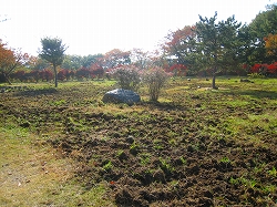 e0002820_958668.jpg
