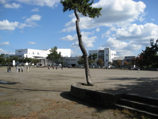 b0147224_18254927.jpg