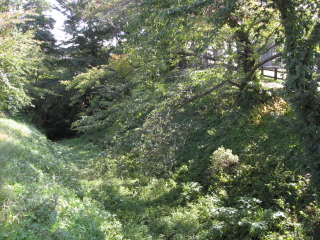 b0147224_18292197.jpg