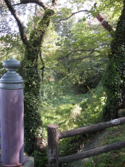 b0147224_1829620.jpg
