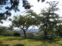 b0147224_18332954.jpg