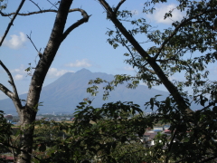 b0147224_183395.jpg