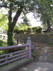 b0147224_18342861.jpg