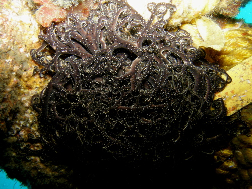 c0034029_23151836.jpg